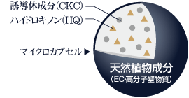 shq1